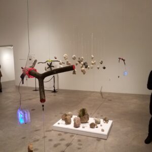 Scatter Surge: Holobiome