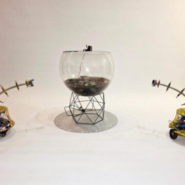 AniccA Antennae: Soil as Brain