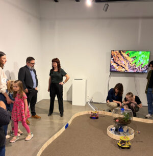 Anicca Antenna: Soil as Brain