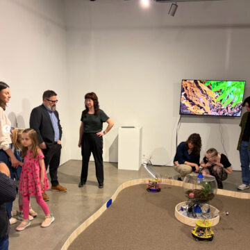 Anicca Antenna: Soil as Brain