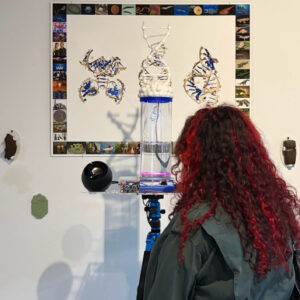 The Evolution of Information IS Life