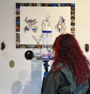 The Evolution of Information IS Life